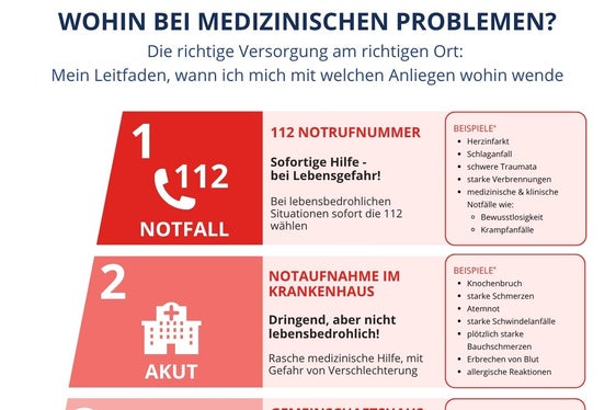 Übersicht: Wohin bei gesundheitlichen Problemen?. (Grafik: LPA/Viktoria Huber)