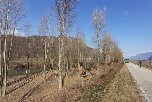 Das Landesamt für Wildbach- und Lawinenverbauung Süd hat mit den gewohnten Pflegearbeiten an der bachbegleitenden Ufervegetation der Etsch und ihren Seitenbächen begonnen. Die Vegetation kann in manchen Fällen ein Hindernis für den Abfluss bei Hochwasser darstellen. (Foto: LPA/Landesamt für Wildbach- und Lawinenverbauung Süd)