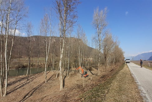 Das Landesamt für Wildbach- und Lawinenverbauung Süd hat mit den gewohnten Pflegearbeiten an der bachbegleitenden Ufervegetation der Etsch und ihren Seitenbächen begonnen. Die Vegetation kann in manchen Fällen ein Hindernis für den Abfluss bei Hochwasser darstellen. (Foto: LPA/Landesamt für Wildbach- und Lawinenverbauung Süd)
