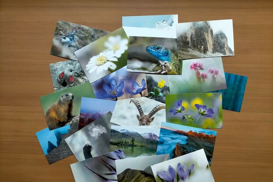 Besonders eindrucksvolle Fotos machen die neue Postkartenserie zu einem netten Gruß aus dem Urlaub oder einem Mitbringsel für Zuhause. (Foto: Landesamt für Natur/Simon Perathoner)