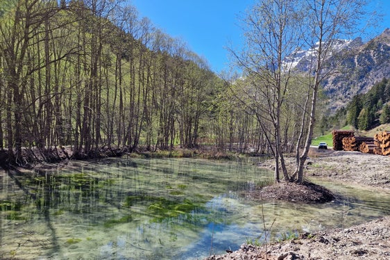 Mit der Vergrößerung des Teichs entstand am Toffringbach ein strukturreicher Lebensraum für Frösche und Vögel. (Foto: LPA/Landesamt für Wildbach- und Lawinenverbauung Nord in der Agentur für Bevölkerungsschutz)