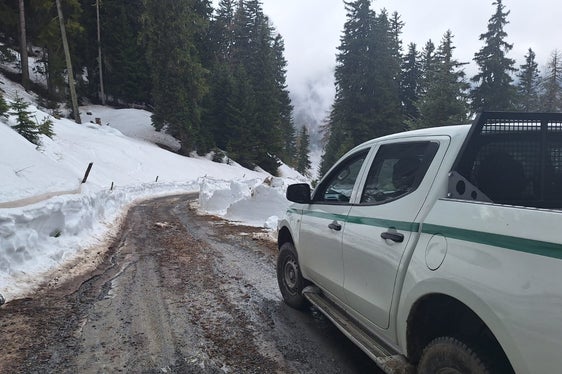 La neve sulle strade forestali ha dovuto essere rimossa dal Servizio strade. A causa dell'intervento, le strade forestali sono state sottoposte a forti sollecitazioni e ora devono essere riparate. (Foto: USP/Ispettorato forestale di Silandro)