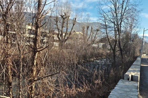 Durch den Rückschnitt übermäßiger Vegetation und das Entfernen von Wildholz halten die Arbeiter der Wildbachverbauung den Wasserlauf frei und reduzieren dadurch das Risiko, dass Bachläufe über die Ufer treten. Zwei Wochen lang führt die Wildbachverbauung jetzt Schlägerungs- und Uferpflegearbeiten entlang der Rienz im Stadtgebiet Bruneck durch. (Foto: LPA/Landesamt für Wildbach- und Lawinenverbauung Ost/Hubert Brugger)