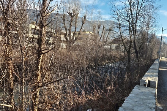 Durch den Rückschnitt übermäßiger Vegetation und das Entfernen von Wildholz halten die Arbeiter der Wildbachverbauung den Wasserlauf frei und reduzieren dadurch das Risiko, dass Bachläufe über die Ufer treten. Zwei Wochen lang führt die Wildbachverbauung jetzt Schlägerungs- und Uferpflegearbeiten entlang der Rienz im Stadtgebiet Bruneck durch. (Foto: LPA/Landesamt für Wildbach- und Lawinenverbauung Ost/Hubert Brugger)