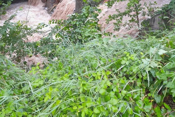 Ein kleines Rückhaltebecken im Schlandraunbach in Schlanders ist nach den ergiebigen Regenfälle der vergangenen Tage mit Geschiebematerial vollgefüllt, Wildbachverbauung und Freiwillige Feuerwehr halten die Situation unter Kontrolle. (Foto: LPA/Freiwillige Feuerwehr Schlanders)