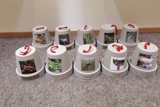 I visitatori della mostra Mangiare ed essere mangiati al centro visite Gruppo di Tessa a Naturno scoprono in modo attivo quali sono le prede ed i predatori. (Foto: ASP/Ufficio natura)