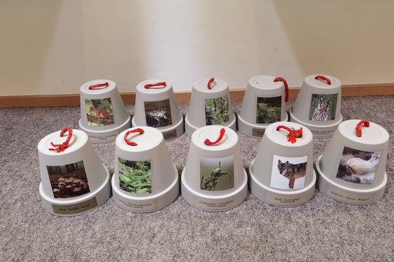 Durch aktives Suchen im Nationalparkhaus erarbeiten die Besucher natürliche Feinde und Beutetiere heimischer Lebewesen. (Foto: LPA/Amt für Natur)