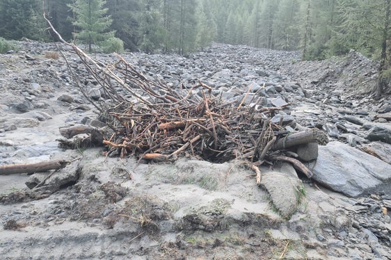 Nach einer ersten Schätzung der Wildbachverbauung hat der Rosimbach bei Sulden gestern bis zu 30.000 Kubikmeter Material mitgeführt. (Foto: LPA/Landesamt für Wildbach- und Lawinenverbauung West)