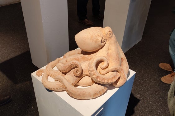 Mostra anuela (da man ciampa a man dërta): Esther Dellavedova, Cromodoris Willani de Alberto Dalle Palle y Venere de Monica Winterle(Foto: USP/Intendënza y Cultura Ladina)