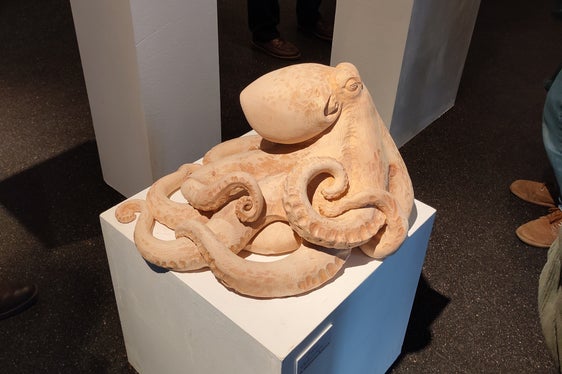 Mostra anuela (da man ciampa a man dërta): Esther Dellavedova, Cromodoris Willani de Alberto Dalle Palle y Venere de Monica Winterle(Foto: USP/Intendënza y Cultura Ladina)