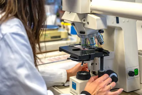 Un metodo complesso: i pollini vengono identificati e contati al microscopio ottico e quindi viene calcolata la concentrazione di polline nell'aria. (Foto: USP/Greta Stuefer)