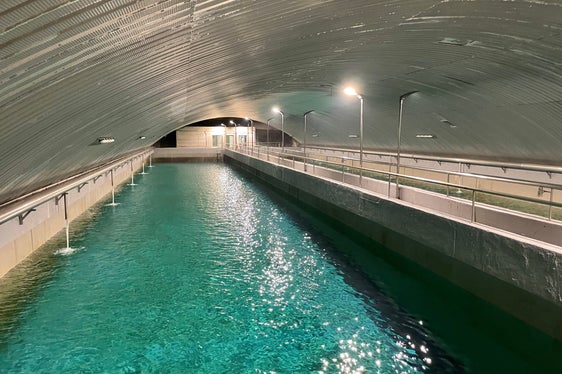 Um auch das Grundwasser systematischer zu schützen, hat das Land Südtirol 2021 den Gewässerschutzplan verabschiedet. (Foto: LPA/Gnews)