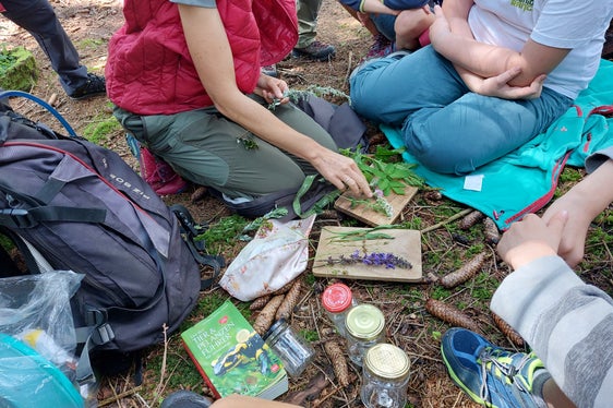 Mit Experten gemeinsam unterwegs auf den Spuren der Naturschätze: Nahezu 500 Kinder haben seit 2009 die Ausbildung Junior Ranger Naturparks Südtirol absolviert. (Foto: AVS/Ralf Pechlaner)