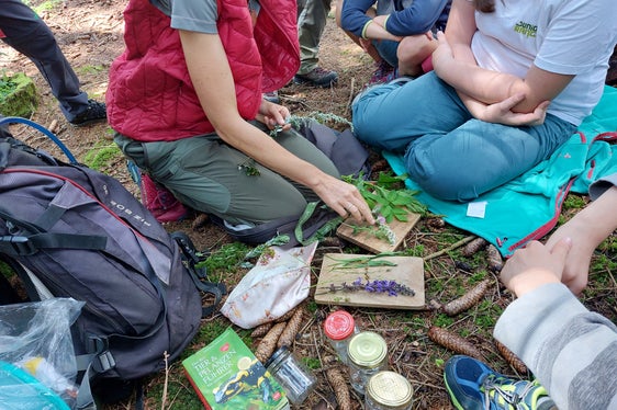 Mit Experten gemeinsam unterwegs auf den Spuren der Naturschätze: Nahezu 500 Kinder haben seit 2009 die Ausbildung Junior Ranger Naturparks Südtirol absolviert. (Foto: AVS/Ralf Pechlaner)