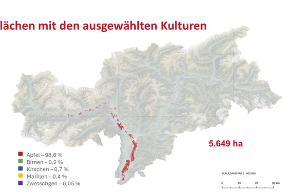 Auf diesen Flächen ist ein Anbringen von Agrivoltaik-Anlagen möglich: Es handelt sich um Obstkulturen, die in der Talsohle (maximal 75 Meter über Etsch oder Eisack) liegen. (Foto: LPA)