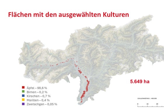 Auf diesen Flächen ist ein Anbringen von Agrivoltaik-Anlagen möglich: Es handelt sich um Obstkulturen, die in der Talsohle (maximal 75 Meter über Etsch oder Eisack) liegen. (Foto: LPA)