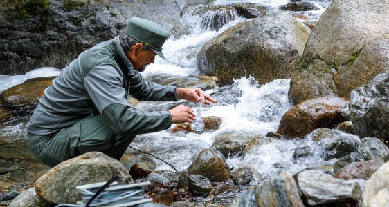 Der öffentliche Dienst ist sehr vielfältig und umfasst neben dem Verwaltungspersonal auch zahlreiche weitere Berufe wie etwa die Försterinnen und Förster. (Foto: LPA/Oskar Verant)