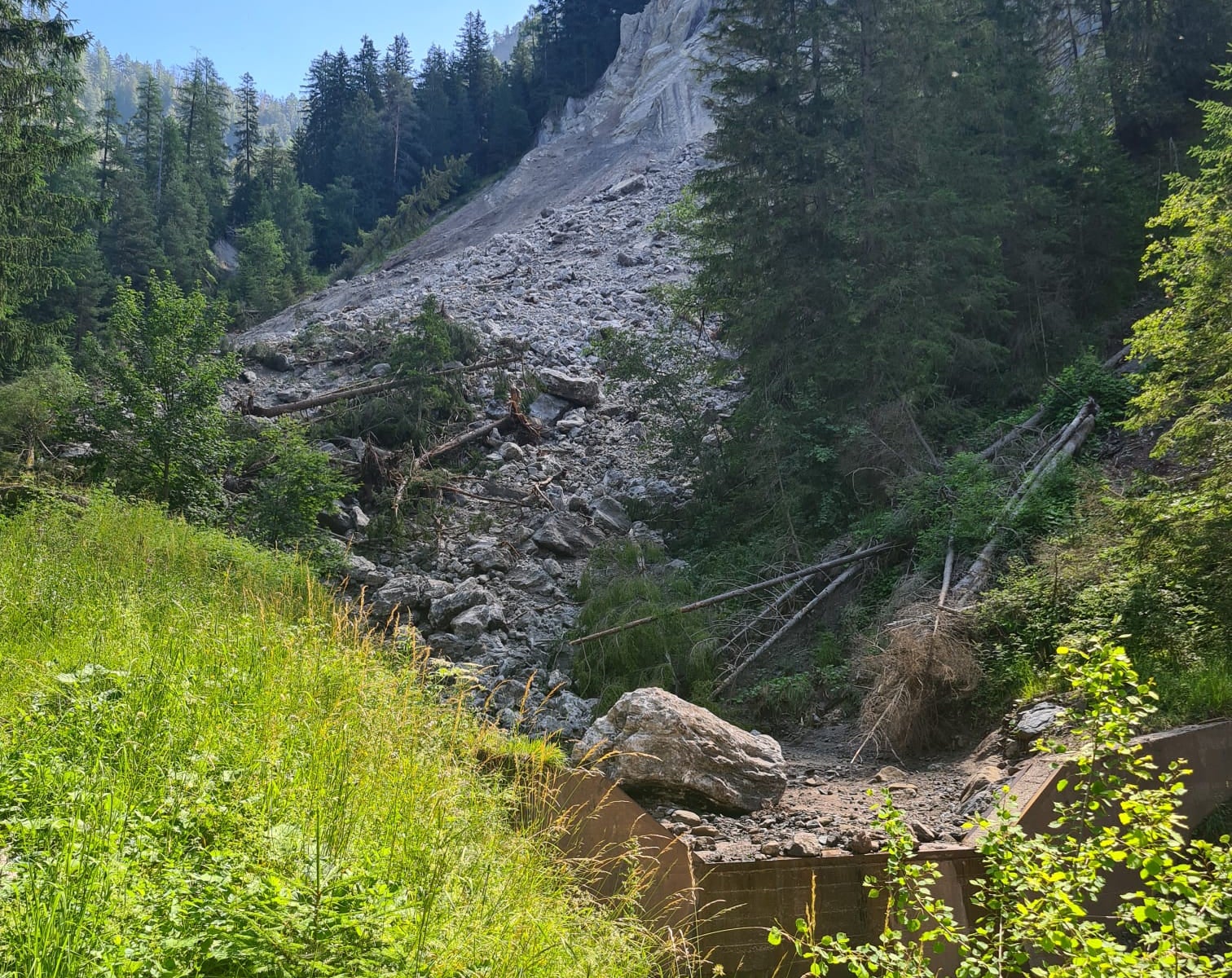 Dopo la frana di domenica notte, migliaia di metri cubi di materiale si sono depositati nel rio Cor, tra cui grandi sassi e alberi. (Foto: Ufficio Sistemazione bacini montani Est)