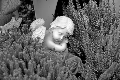 Landesrat Philipp Achammer und Landesschuldirektorin Sigrun Falkensteiner sprechen den Angehörigen des verstorbenen 7-jährigen Schülers und der Schulgemeinschaft Uttenheim ihr Beileid aus. (Foto: Pixabay - Das Foto darf nur im Zusammenhang mit dieser Aussendung verwendet werden.)