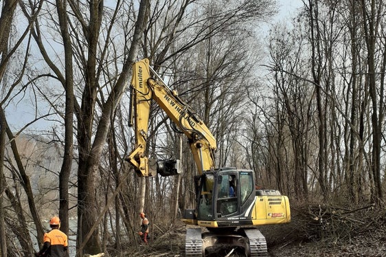 Mit der Uferpflege wird der Hochwasserschutz gesichert und ein vielfältiger Lebensraum für Pflanzen und Tiere geschaffen. (Foto: LPA/Landesamt für Wildbach- und Lawinenverbauung Süd)