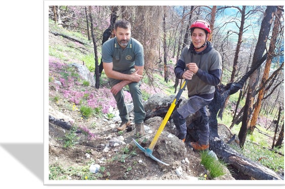 I lavori di rimboschimento sono coordinati dal personale forestale della Stazione forestale di Prato. (Foto: USP/Ispettorato forestale di Silandro)