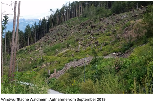 Progetto Waldheim Brunico: foto dell'area risalente al mese di settembre 2019. (Foto: USP/Stazione forestale Brunico)