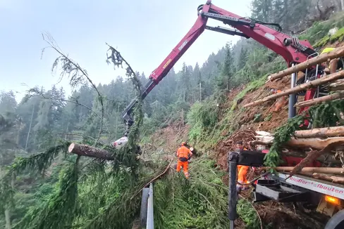 La tempesta che martedì ha investito anche l'Alto Adige ha lasciato una scia di devastazione. Nell'immagine si vedono gli operatori del Servizio strade al lavoro lungo la strada della Val d'Ultimo (Foto: ASP/Servizio strade)