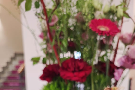 Durante il convegno sono stati forniti spunti concreti su come adottare un'alimentazione a base vegetale in modo creativo, gustoso e adatto alla vita quotidiana. (Foto: USP/Scuola professionale di economia domestica e agroalimentare Aslago)