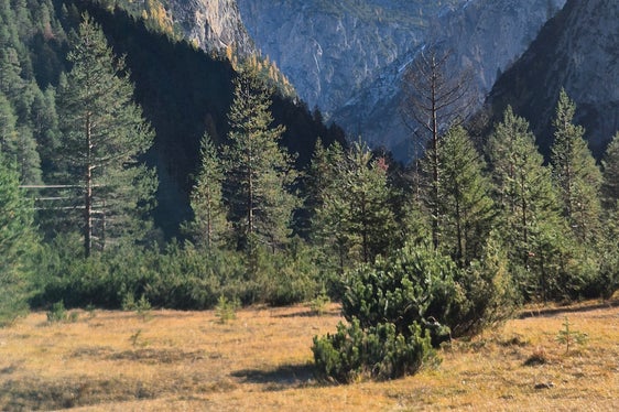 Il Forte di Landro in Val di Landro è un sito di particolare interesse, anche per la sua posizione nel cuore delle Dolomiti. Vista sulle Tre Cime di Lavaredo. (Foto: USP/Gianluca Crocco)