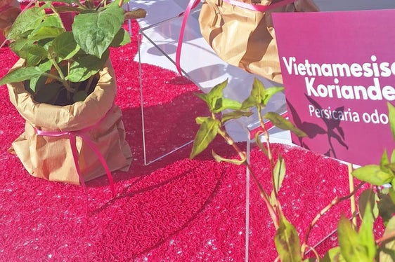 Sapori intensi e sorprendenti allo stand della scuola al mercato dei fiori di Bolzano. (Foto: USP/Scuola professionale per l'economia domestica e agroalimentare Aslago)