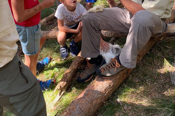 Gilbert Holzmann, guida escursionistica di lunga data nel Parco Naturale Vedrette di Ries-Aurina, è felice di trasmettere le sue conoscenze ai giovani. (Foto: Ufficio/Annamaria Gapp)