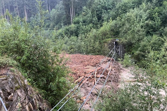 Die Seilsperre in der Rienzschlucht ist mit Wildholz und Material gefüllt und wird derzeit geräumt. (Foto: LPA/Landesamt für Wildbach- und Lawinenverbauung Ost)