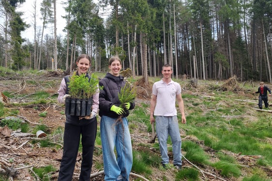 Bäume für die Zukunft: Schüler und Schülerinnen einer der beiden am Projekt beteiligten Maturaklassen des Sprachen- und Realgymnasiums Bruneck mit verschiedenen Nadelhölzern, hier Lärche und Kiefer. (Foto: LPA/Forststation Bruneck)