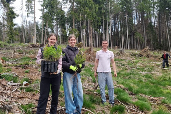 Alberi per il futuro: studenti di una delle due classi di maturità del Liceo linguistico e scientifico di Brunico che partecipano al progetto con diverse conifere, larici e pini. (Foto: USP/Stazione forestale di Brunico)