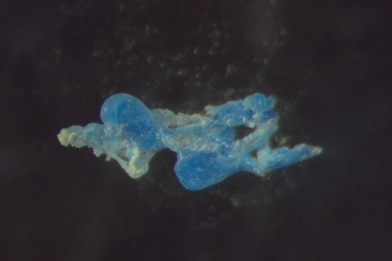 Um Mikroplastik zu dokumentieren, hat die Landesagentur für Umwelt und Klimaschutz zwischen November 2021 und Dezember 2022 ein Monitoring durchgeführt. (Foto: LPA/Landesagentur für Umwelt und Klimaschutz)