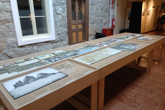 Dettagli sulla nuova mostra temporanea, visitabile fino al 31 ottobre al Centro visite Tre Cime. (Foto: USP/Ufficio Natura-Thomas Kiebacher)