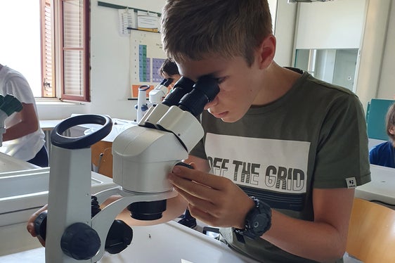 Fabian beim Arbeiten am Stereomikroskop (Foto: Katja Grai)