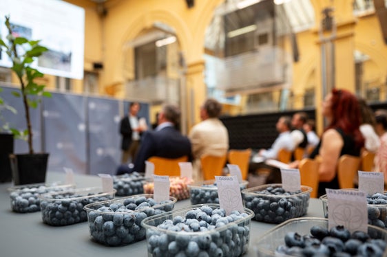 Il vicedirettore del Centro di Sperimentazione Laimburg ha portato alla conferenza stampa 10 delle oltre 50 varietà di mirtilli attualmente oggetto di studio e alcune piante infestate dall'afide lanigero. (Foto: USP/Fabio Brucculeri)