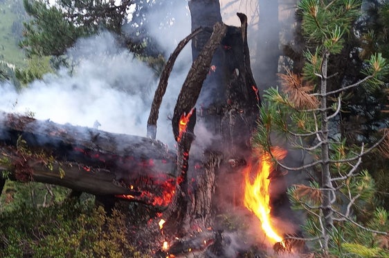 Die Anzahl der Waldbrände (25) im vergangenen Jahr ist überwiegend auf unbekannte oder fahrlässige Ursachen zurückzuführen, während 8 eindeutig durch Blitzeinschläge verursacht wurden; im Bild der Brand im Schalderertal in der Gemeinde Vahrn. (Foto: LPA/Report Naturgefahren 2024)