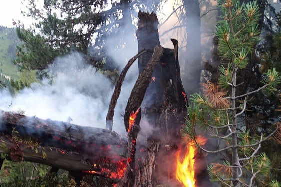 Il numero di incendi boschivi (25) registrati lo scorso anno è dovuto prevalentemente a cause sconosciute o a negligenza, mentre 8 sono stati chiaramente causati da fulmini; nella foto l'incendio in Val di Scaleres nel Comune di Varna. (Foto: USP/Report Pericoli Naturali 2024)