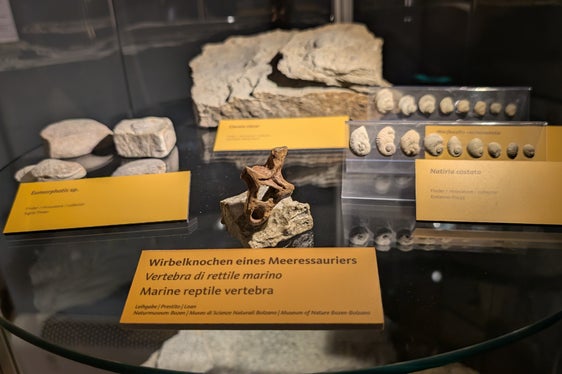 Das Naturdenkmal Bletterbach bildet eines von neun Teilgebieten des Dolomiten UNESCO Welterbes. Mit Beschluss der Landesregierung vom 30. Oktober wird die Finanzierung und Führung des Besucherzentrums neu aufgestellt. (Foto: LPA/Vera Brunetti)
