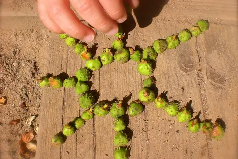 Für den Waldkindergarten Naturns wird ein Teil der bestehenden Fläche für Freizeitanlagen in Zone für öffentliche Einrichtungen – Unterricht, Wald- und Umweltpädagogik umgewandelt. (Foto: Pixabay)
