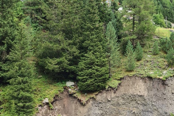 Nella foto: grave cedimento dell'argine del rio Solda (Foto: ASP/Ufficio Sistemazione bacini montani ovest)
