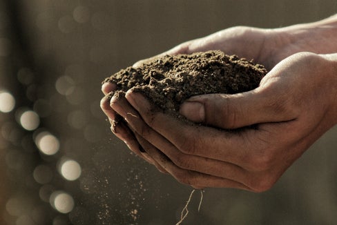 La tutela del suolo nell'arco alpino al centro di un convegno internazionale il 29 settembre a Bolzano (Foto: ASP/Unsplash)