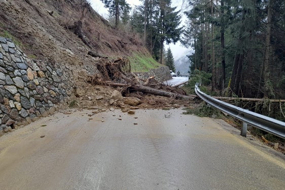 Eine Mure hat am Ostersonntag die Landesstraße zur Kuppelwieseralm Ulten verlegt. (Foto: LPA/Landesstraßendienst)