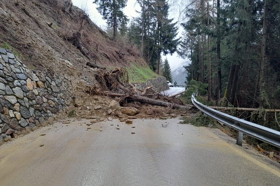 Eine Mure hat am Ostersonntag die Landesstraße zur Kuppelwieseralm Ulten verlegt. (Foto: LPA/Landesstraßendienst)