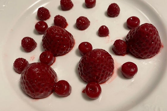 Auch Himbeeren wurden nachgebaut. (Foto: LPA/LBS Savoy/Hannes Rainer)