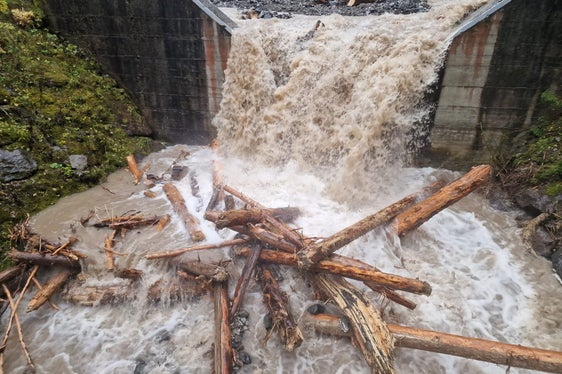 Wildbachverbauung im Einsatz: EIne Gruppe des Landesamtes für Wildbachverbauung Nord mit Vorarbeiter Otto Gruber hat das am 31. Oktober angeschwemmte Wildholz in den beiden Rückhaltebecken im Puflerbach in Kastelruth (im Bild) noch am selben Tag ausgeräumt und Verklausungen an Brücken entfernt, um die Sicherheit wiederherzustellen. (Foto: LPA/Agentur für Bevölkerungsschutz)