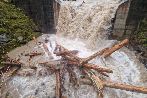 Wildbachverbauung im Einsatz: EIne Gruppe des Landesamtes für Wildbachverbauung Nord mit Vorarbeiter Otto Gruber hat das am 31. Oktober angeschwemmte Wildholz in den beiden Rückhaltebecken im Puflerbach in Kastelruth (im Bild) noch am selben Tag ausgeräumt und Verklausungen an Brücken entfernt, um die Sicherheit wiederherzustellen. (Foto: LPA/Agentur für Bevölkerungsschutz)