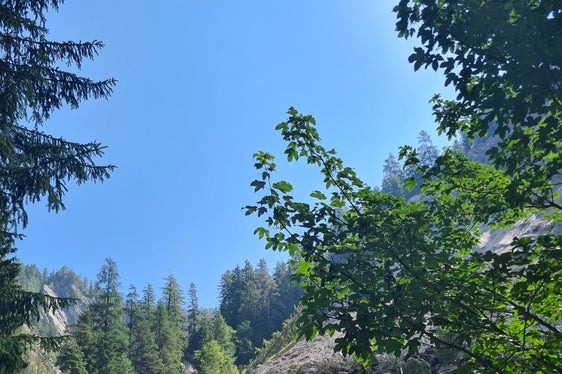 Massi, alberi e detriti si sono accumulati nella gola del rio Cor e verranno rimossi una volta che la situazione in zona tornerà stabile. (Foto: ASP/Ufficio Sistemazione bacini montani Est)